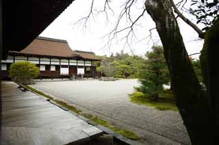 Foto, materiell, befreit, Landschaft, Bild, hat Foto auf Lager,Ninna-ji Temple-Vorgarten vom Hall für staatliche Zeremonien, Garten, Sand, Das Haus des alten Aristokraten Kaiserlicher Palast, trocknen Sie Landschaft japanischen Garten