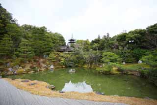 Foto, materiell, befreit, Landschaft, Bild, hat Foto auf Lager,Ninna-ji Temple-Norden Garten, Fünf Storeyed-Pagode, Ich bin Japanisch-Stil, Teich, Stil japanischen Gartens mit einem Teich im Zentrumsgarten