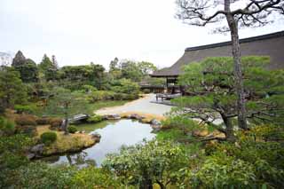 Foto, materiell, befreit, Landschaft, Bild, hat Foto auf Lager,Ninna-ji Temple-Norden Garten, Fünf Storeyed-Pagode, Ich bin Japanisch-Stil, Teich, Stil japanischen Gartens mit einem Teich im Zentrumsgarten