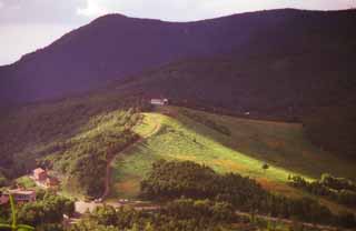 Foto, materiell, befreit, Landschaft, Bild, hat Foto auf Lager,Sommer in einem Hochland, Hochland, Holz, , 