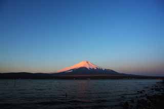 Foto, materiell, befreit, Landschaft, Bild, hat Foto auf Lager,Roter Fuji, Fujiyama, Die schneebedeckten Berge, Oberfläche eines Sees, Die Morgenglut