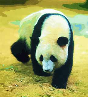 illust, materiell, befreit, Landschaft, Bild, Gemälde, Farbbleistift, Wachsmalstift, Zeichnung,,Riesiger Panda, Panda, , Ich bin schön, Spaziergang