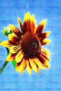 illust, materiell, befreit, Landschaft, Bild, Gemälde, Farbbleistift, Wachsmalstift, Zeichnung,,Eine Sonnenblume, Sonnenblume, , , 