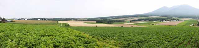 Foto, materiell, befreit, Landschaft, Bild, hat Foto auf Lager,Eine ländliche Landschaft von Furano, Feld, Mt. Tokachi-dake, Das Land, ländliche Landschaft