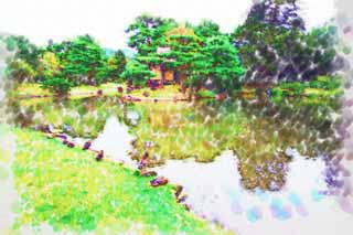 illust, materiell, befreit, Landschaft, Bild, Gemälde, Farbbleistift, Wachsmalstift, Zeichnung,,Der Teich des Oyaku-en Garden Gefühlscharakters, Gartenpflanze, Gartenarbeit, Japanisch gärtnert, Kiefer