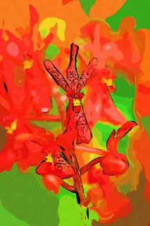 illust, materiell, befreit, Landschaft, Bild, Gemälde, Farbbleistift, Wachsmalstift, Zeichnung,,Eine rote Orchidee, Eine Orchidee, , , Ich bin luxuriös