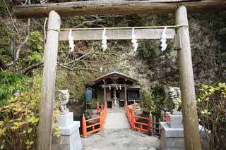 Foto, materiell, befreit, Landschaft, Bild, hat Foto auf Lager,Zeniarai-benten-Schrein, torii, Paar von Steinhüterhunden, Spiegel, Profitabel