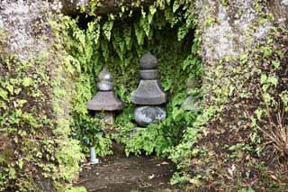 Foto, materiell, befreit, Landschaft, Bild, hat Foto auf Lager,Zeniarai-benten Shrine-Hügel, Sanskritcharaktere, Höhle, Frau des Hauptzen-Priesters, Profitabel