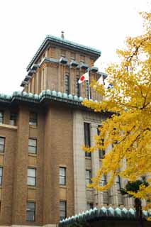 Foto, materiell, befreit, Landschaft, Bild, hat Foto auf Lager,Das Kanagawa prefectural-Büro, ginkgo, Färbte Blätter, nationale Fahne, Backstein