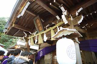 Foto, materiell, befreit, Landschaft, Bild, hat Foto auf Lager,Eshima Shrine Seiten-Tsunomiya, lassen Sie Schrein herunter, Schintoistischer Schrein, , Ozunu Enno