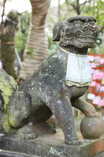 Foto, materiell, befreit, Landschaft, Bild, hat Foto auf Lager,Eshima Shrine Okutsu-Schrein, Paar von Steinhüterhunden, Schintoistischer Schrein, höchst Hund, Eine Schürze