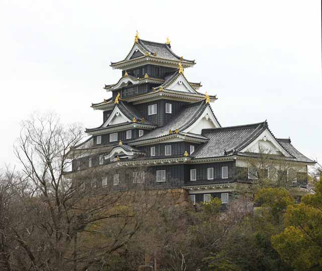 Foto, materiell, befreit, Landschaft, Bild, hat Foto auf Lager,Okayama-jo Burg, Burg, Der Burgturm, Krähen Sie Burg, 