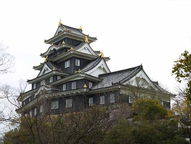 Foto, materiell, befreit, Landschaft, Bild, hat Foto auf Lager,Okayama-jo Burg, Burg, Der Burgturm, Krähen Sie Burg, 