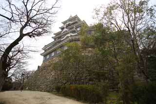 Foto, materiell, befreit, Landschaft, Bild, hat Foto auf Lager,Okayama-jo Burg, Burg, Der Burgturm, Krähen Sie Burg, 