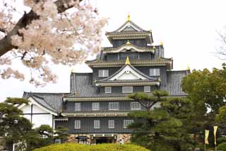 Foto, materiell, befreit, Landschaft, Bild, hat Foto auf Lager,Okayama-jo Burg, Burg, Der Burgturm, Krähen Sie Burg, 