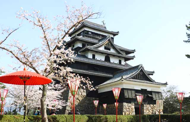 Foto, materiell, befreit, Landschaft, Bild, hat Foto auf Lager,Das Matsue-jo Burgburgturm, Kirschenbaum, Drängen-Steine, Burg, Ishigaki