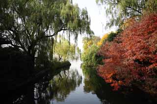 photo,material,free,landscape,picture,stock photo,Creative Commons,An outlook on port of flower fish, The surface of the water, Saiko, The sky, Red