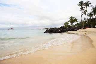 photo,material,free,landscape,picture,stock photo,Creative Commons,A private beach, sandy beach, palm tree, wave, yacht