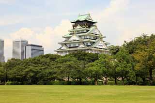 photo,material,free,landscape,picture,stock photo,Creative Commons,Tower of Osaka Castle, , , , 