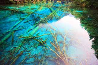 photo,material,free,landscape,picture,stock photo,Creative Commons,Jiuzhaigou Gohanaumi, , , , 