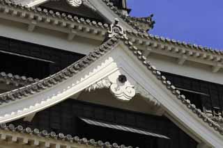 photo,material,free,landscape,picture,stock photo,Creative Commons,At Kumamoto Castle, , , , 