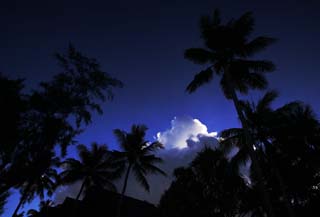 photo,material,free,landscape,picture,stock photo,Creative Commons,The cloud which can shine of a southern country, coconut tree, cloud, Lasi, blue sky