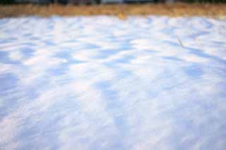 photo,material,free,landscape,picture,stock photo,Creative Commons,Snow Illusion, , , , 