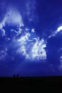 photo,material,free,landscape,picture,stock photo,Creative Commons,Light of the Gospel, cloud, light line, voice of the sky, row of trees