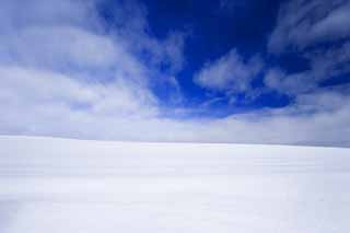 photo,material,free,landscape,picture,stock photo,Creative Commons,A snowy field and a blue sky, snowy field, cloud, tree, blue sky