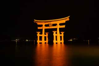 photo,material,free,landscape,picture,stock photo,Creative Commons,The night of Otorii, World's cultural heritage, Otorii, Shinto shrine, I am cinnabar red