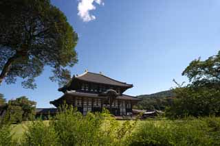 photo,material,free,landscape,picture,stock photo,Creative Commons,The Todai-ji Temple Hall of the Great Buddha, great statue of Buddha, wooden building, Buddhism, temple