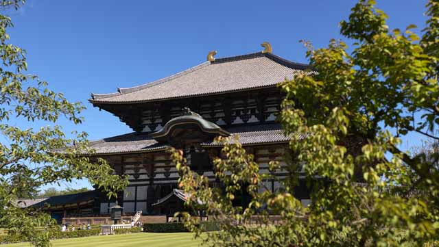 photo,material,free,landscape,picture,stock photo,Creative Commons,The Todai-ji Temple Hall of the Great Buddha, great statue of Buddha, wooden building, Buddhism, temple