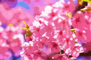 illustration,material,free,landscape,picture,painting,color pencil,crayon,drawing,Sakura Kawazu, Sakura, , Cherry, 