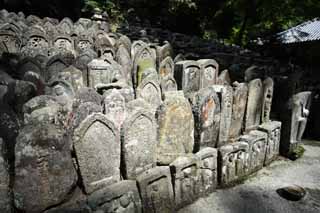 photo,material,free,landscape,picture,stock photo,Creative Commons,Ishibotoke of Hase-dera Temple, memorial service, Ishibotoke, Chaitya, Mitera of the flower