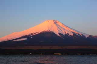 photo,material,free,landscape,picture,stock photo,Creative Commons,Red Fuji, Fujiyama, The snowy mountains, surface of a lake, The morning glow