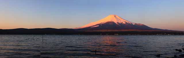 photo,material,free,landscape,picture,stock photo,Creative Commons,Red Fuji, Fujiyama, The snowy mountains, surface of a lake, The morning glow