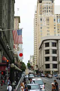 photo,material,free,landscape,picture,stock photo,Creative Commons,According to San Francisco, Sightseeing, cable car, roadside tree, Row of houses along a city street