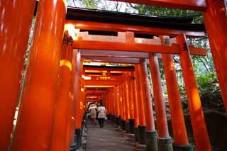 photo,material,free,landscape,picture,stock photo,Creative Commons,Fushimi-Inari Taisha Shrine torii, New Year's visit to a Shinto shrine, torii, Inari, fox