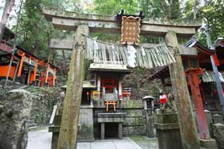 photo,material,free,landscape,picture,stock photo,Creative Commons,Fushimi-Inari Taisha Shrine torii, New Year's visit to a Shinto shrine, torii, Inari, fox