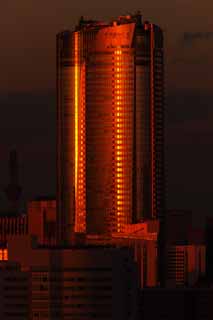 photo,material,free,landscape,picture,stock photo,Creative Commons,Tokyo of the dusk, Roppongi Hills, building, Sky tree, 