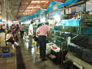 foto,tela,gratis,paisaje,fotografía,idea,Un mercado de borde oriental, Tienda, Mercado, Tienda de pez, Es enérgico