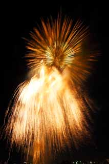 foto,tela,gratis,paisaje,fotografía,idea,Demostración de fuegos artificiales de río de Tama, Fuegos artificiales de lanzamiento, Lugar natural o centro que añaden el encanto poético a la estación del verano, Fuego de señal, Luminosidad