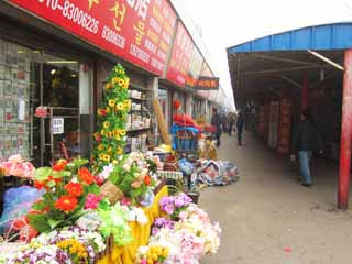 foto,tela,gratis,paisaje,fotografía,idea,Un mercado, Mercado, Una flor artificial, , 