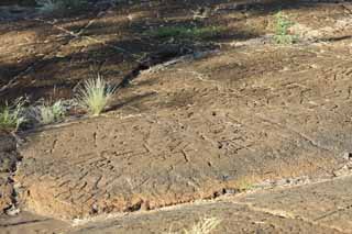 foto,tela,gratis,paisaje,fotografía,idea,Petroglifo de Puako, Lava, Arte de cerradura, Petroglifo, Kaha - kii