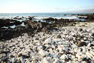 foto,tela,gratis,paisaje,fotografía,idea,Blanco y la orilla negra, Lava, Coral, Ola, País del sur