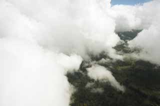 foto,tela,gratis,paisaje,fotografía,idea,Aerofotografía de Hawaii, Nube, Bosque, Llanura cubierta de hierba, 