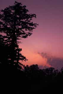 foto,tela,gratis,paisaje,fotografía,idea,Amanecer y árbol, Brillo de amanecer, Rojo, Nube, Cielo