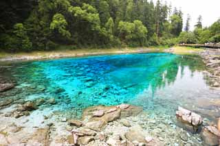 foto,tela,gratis,paisaje,fotografía,idea,Cinco colores de Jiuzhaigou estanque, , , , 