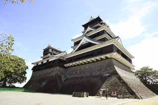 foto,tela,gratis,paisaje,fotografía,idea,En el castillo de Kumamoto, , , , 