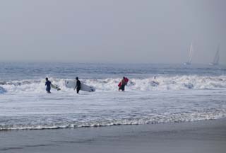 foto,tela,gratis,paisaje,fotografía,idea,El desafío de los surfistas, Surfeo, Ola, Mar, Tabla de surf